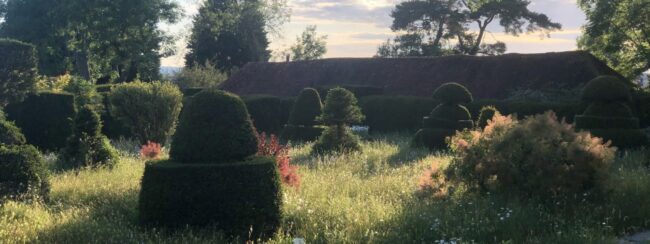 The Topiary Lawn