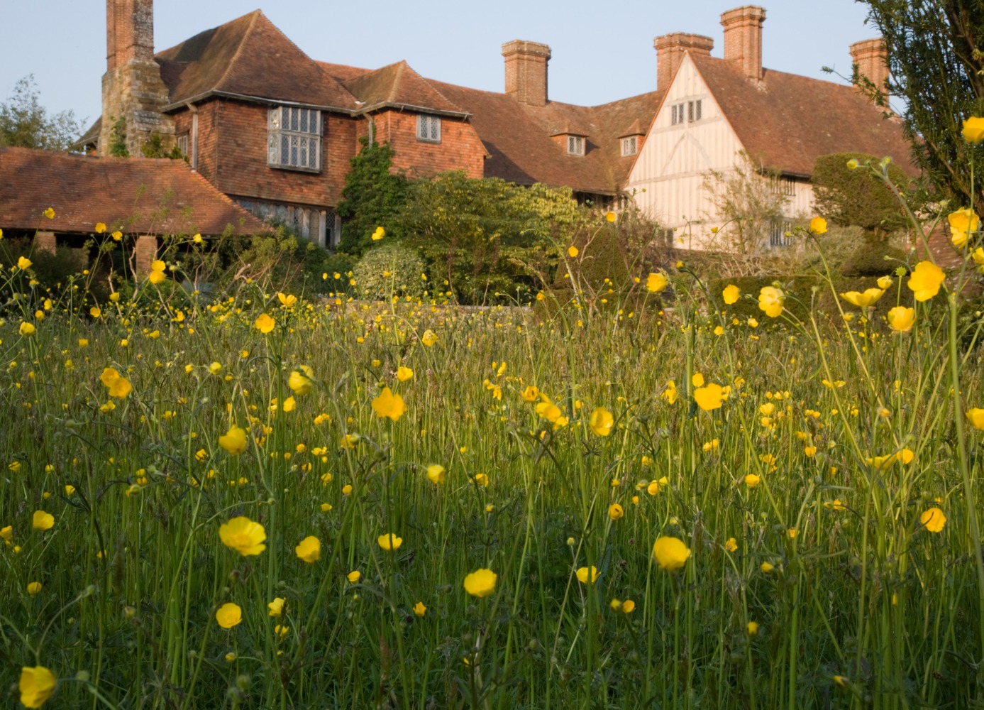 Meadow Gardening