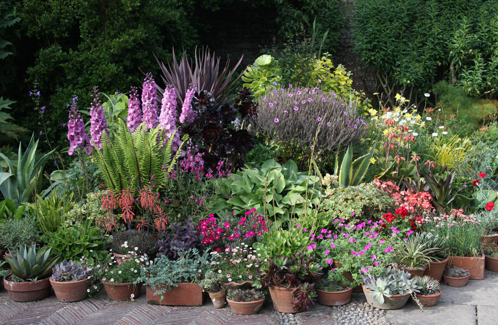 The Art and Craft Gardening at Great Dixter 2025-26 Term 1