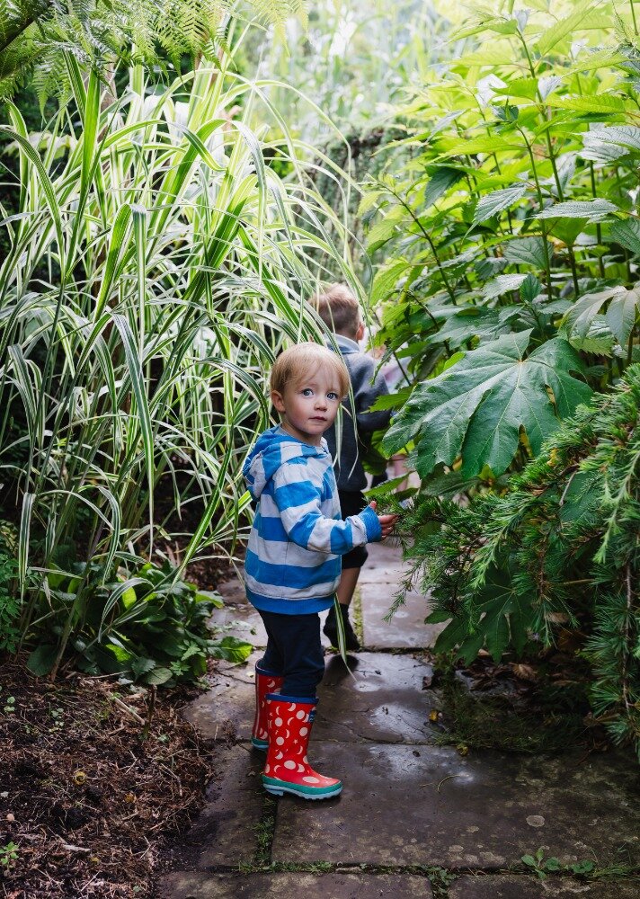 Garden Explorers